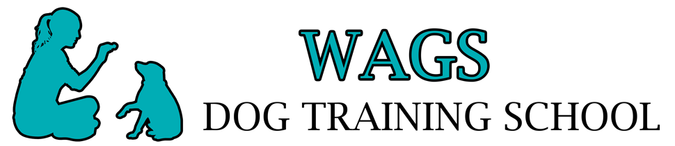 Wags Dog Training School